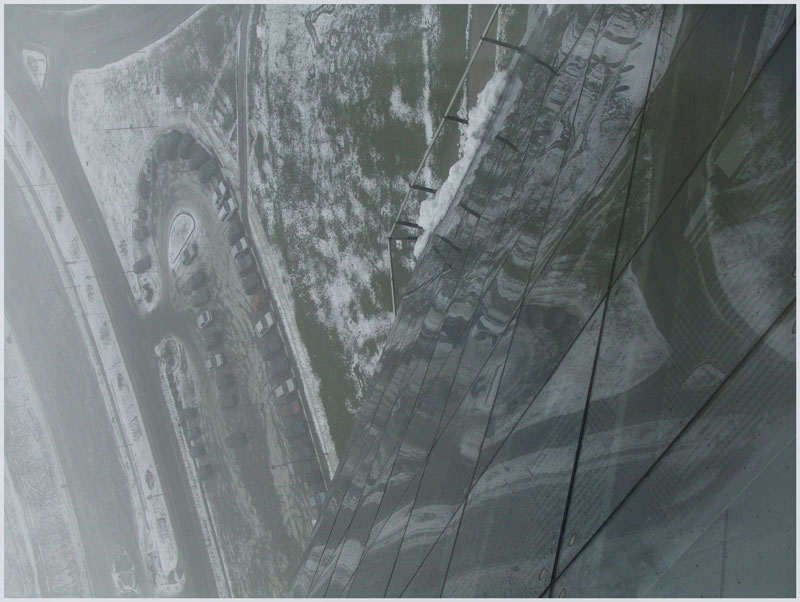 Fog from height of the bird's flight