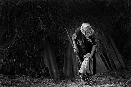 На ней держится Украина 2 B/W.