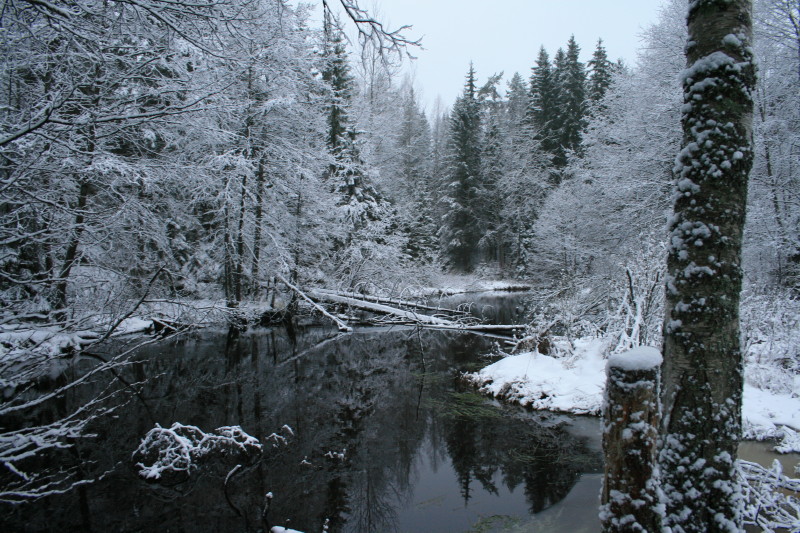 Река