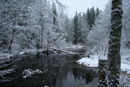 Река