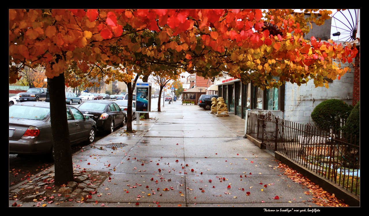 &quot;AUTUMN, EMMONS AVENUE&quot; NEW YORK