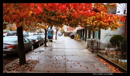 "AUTUMN, EMMONS AVENUE" NEW YORK