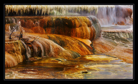 Minerva Terrace, Mammoth Hot Springs, Yellowstone. (fragment)