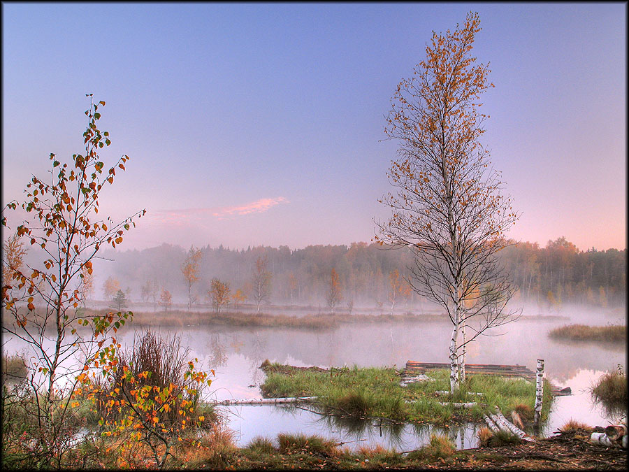 Лесное озеро-4