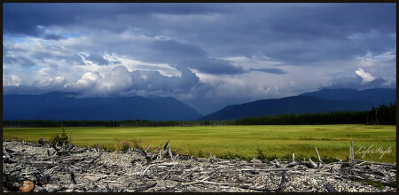 Предчувствие...