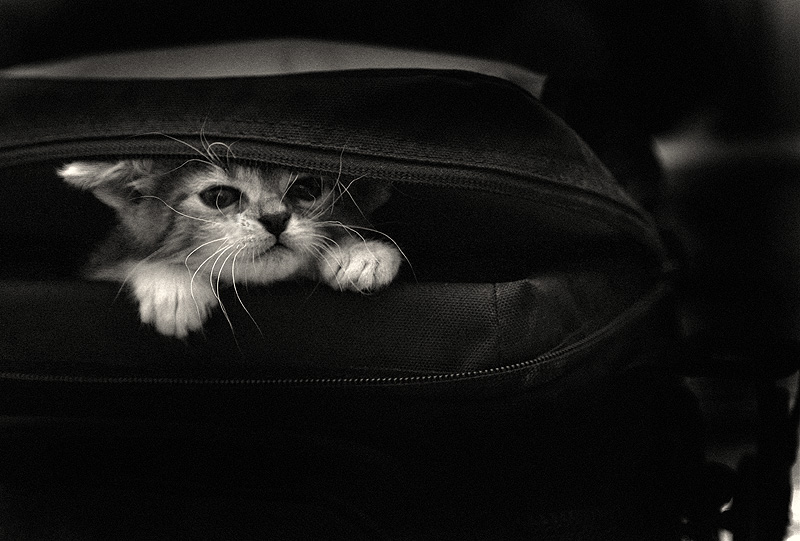 Меня не забудьте 2!!! B/W