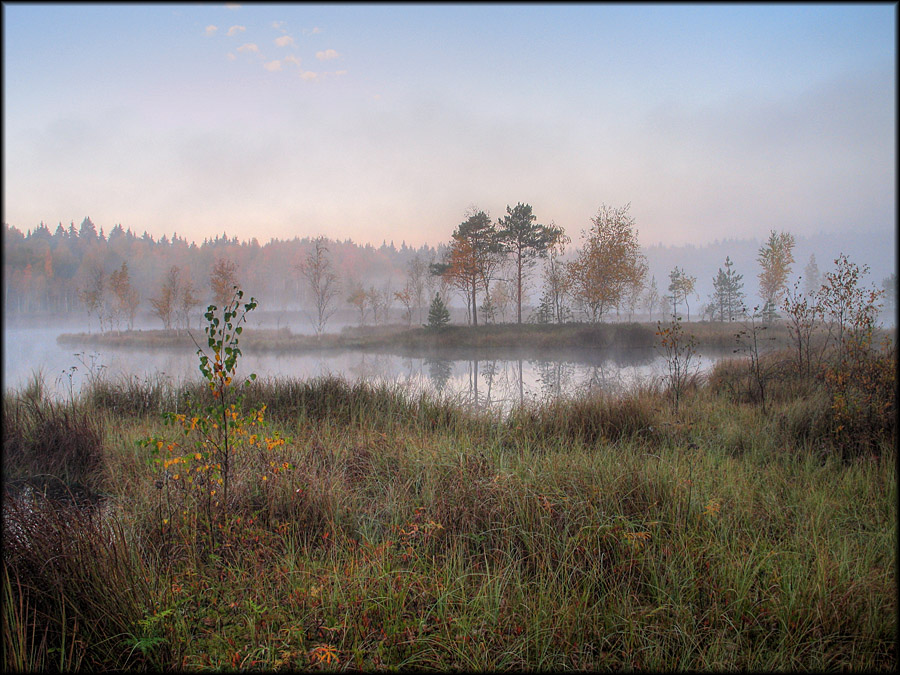 Лесное озеро-5