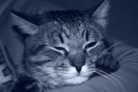 Доверие и тишина