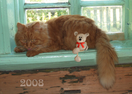 сеньор, это мой год!