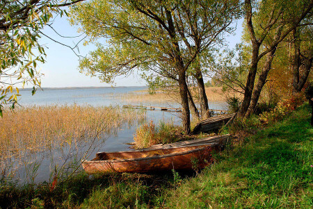 Снова осень