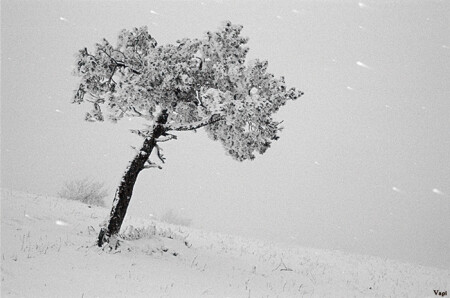 Пейзажи Караби - 6