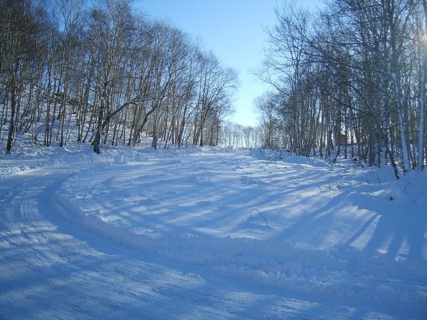 Зимняя дорога