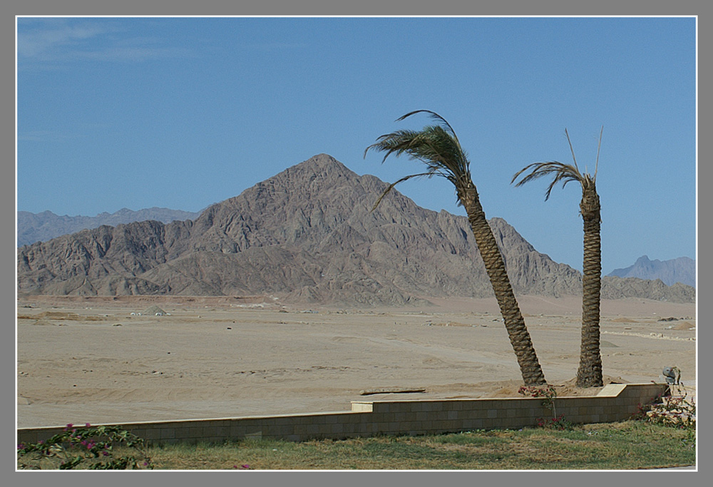 WELCOME TO SHARM EL SHEIKH