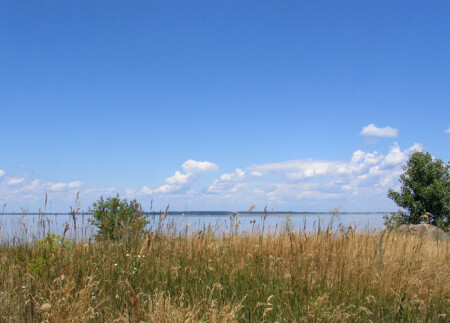 Редкая птица долетит...