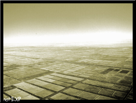 Геометрия полей