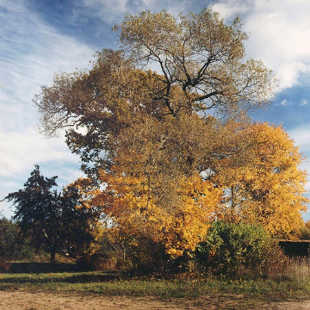Краски осени
