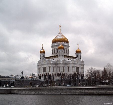 Златоглавая.