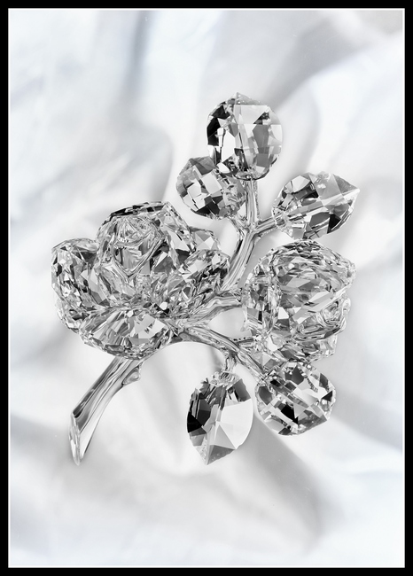 Swarovski