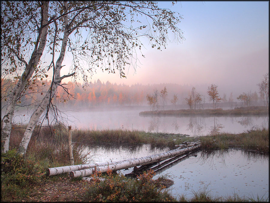 Лесное озеро-6