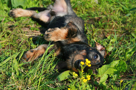 Счастье есть?