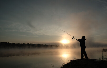 Мишкины зори..