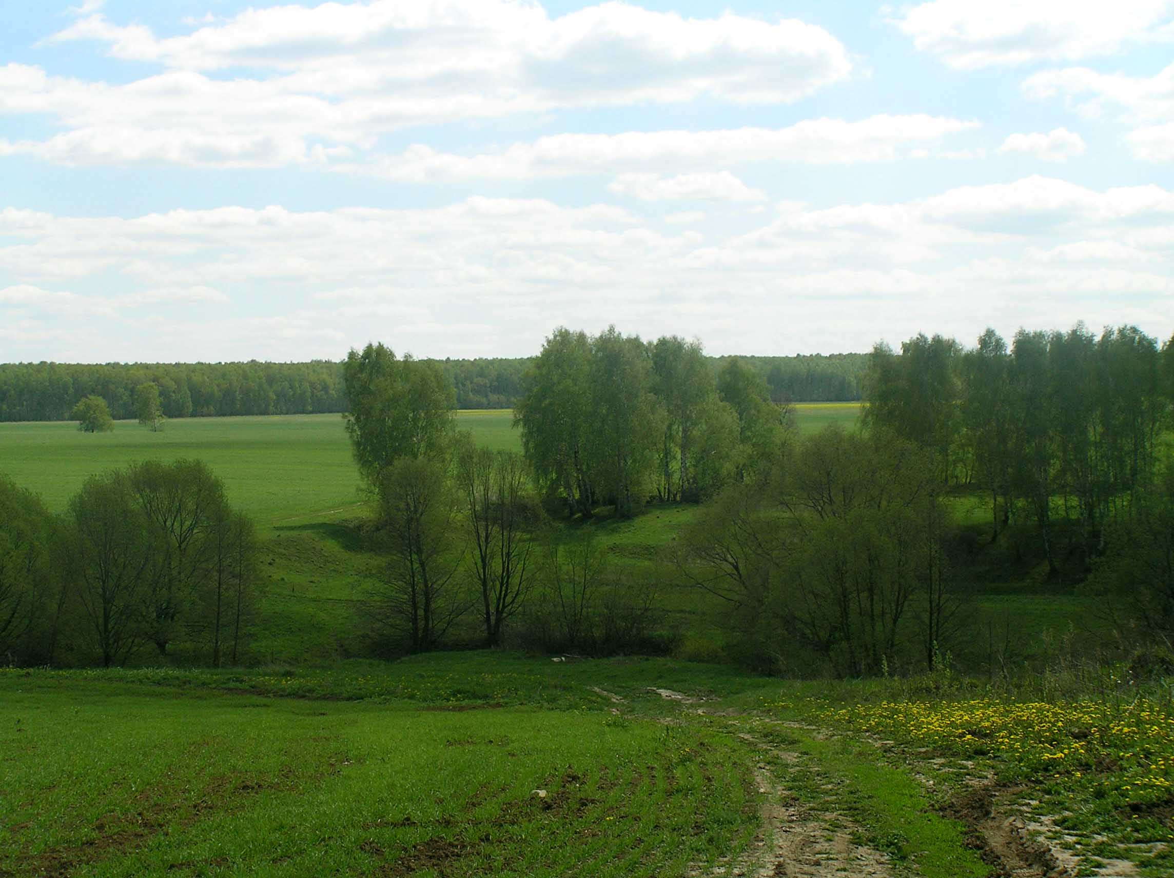 дорога в изумрудный город...