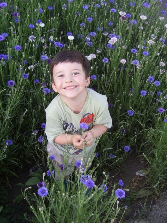 Васильковое детство