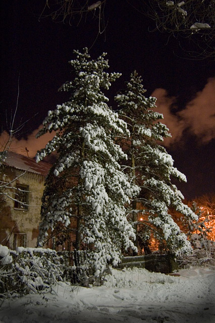 елки