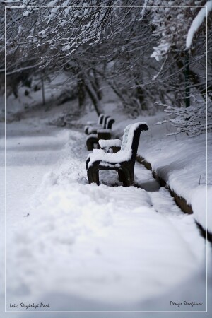 Без назви #1