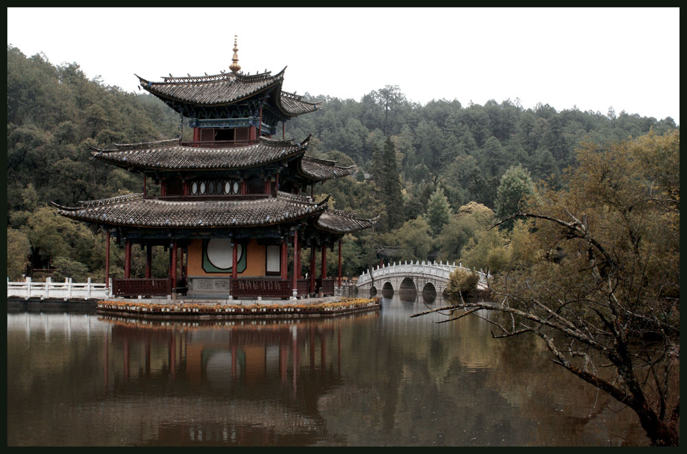 Dragon Pool