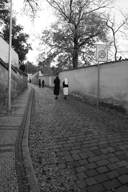 Дорога к храму