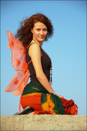 fence butterfly)