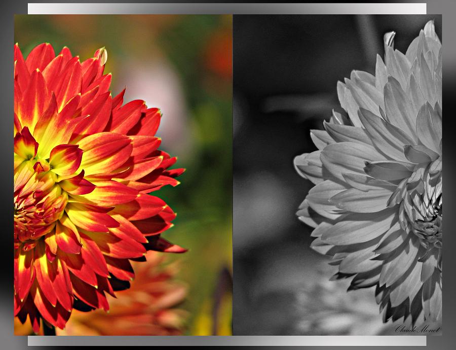 A simple beauty №1