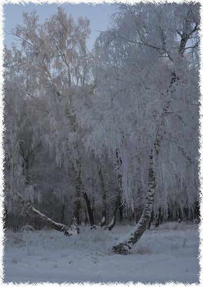 Сибирская зима