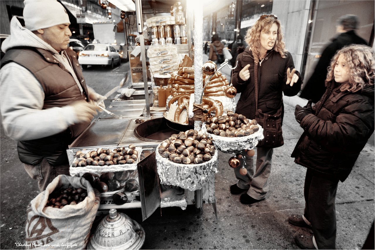 &quot;CHESTNUT MOOD&quot; NEW YORK