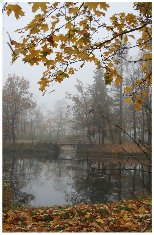 Осень в парке