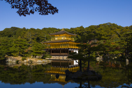 Кинкакудзи. Начало осени