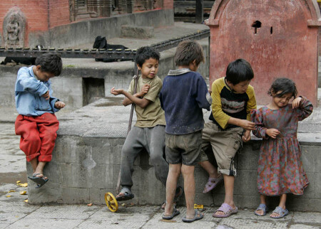 наши цветы жизни