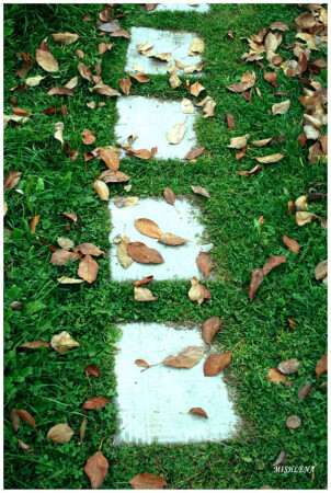 осенняя тропа