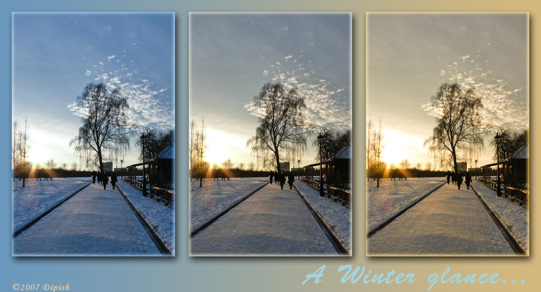 A Winter Glance...