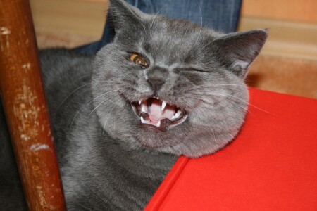 Все будет... ОК...