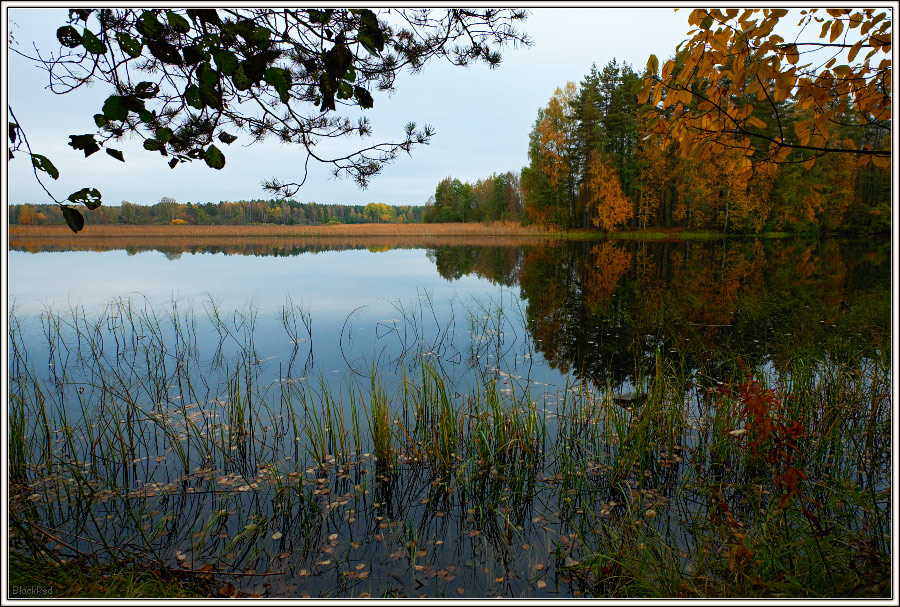 Зеркало Вуоксы