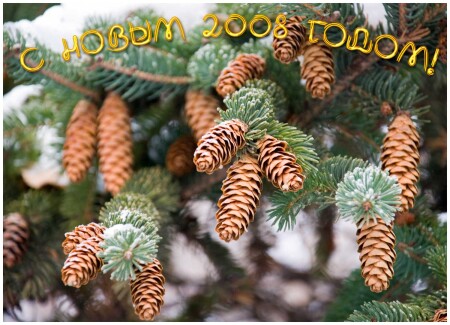 С новым 2008 годом!