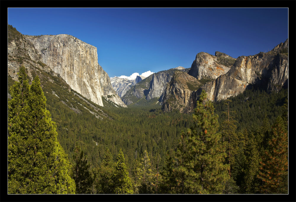 Yosemity Valley