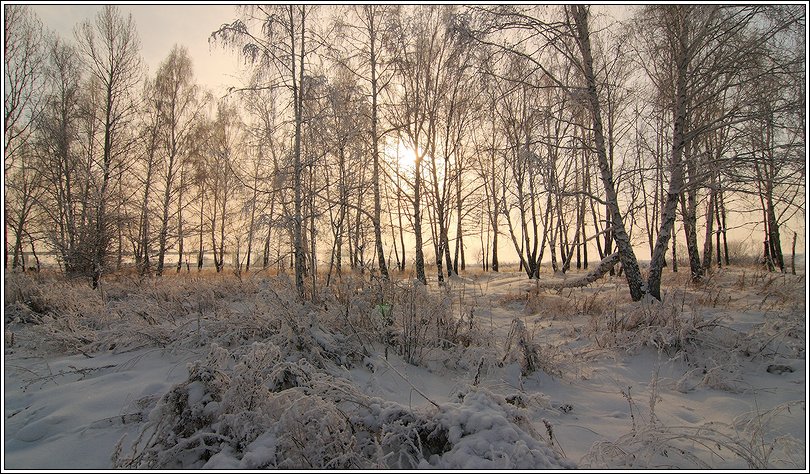 Зимнее солнце