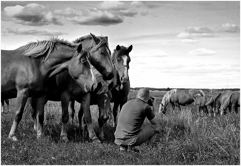 Фотоконкурса &quot;Сфотографируй лошадь&quot; жюри комисия ....