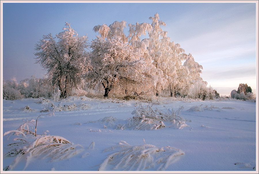 Коралловый пейзаж 2