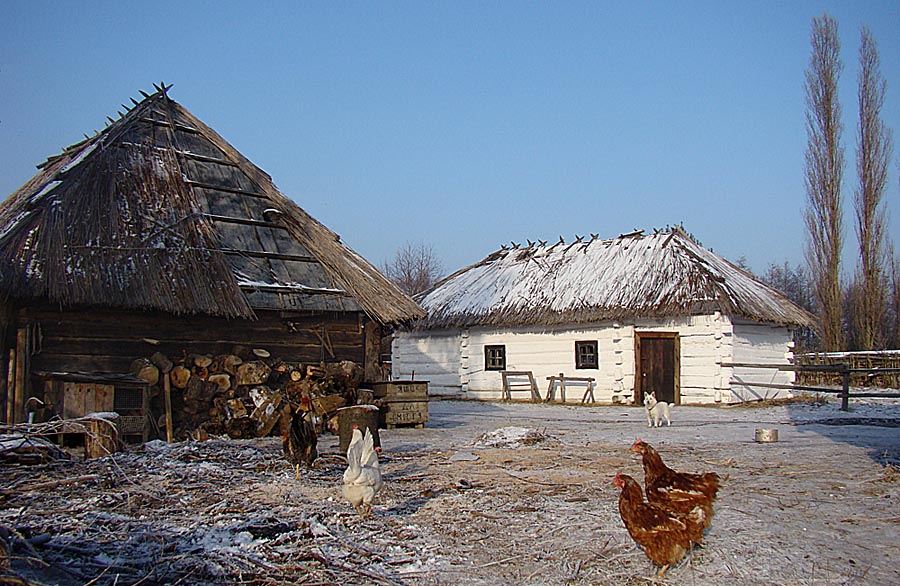 Хуторской дворик