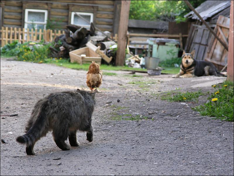 будет заваруха