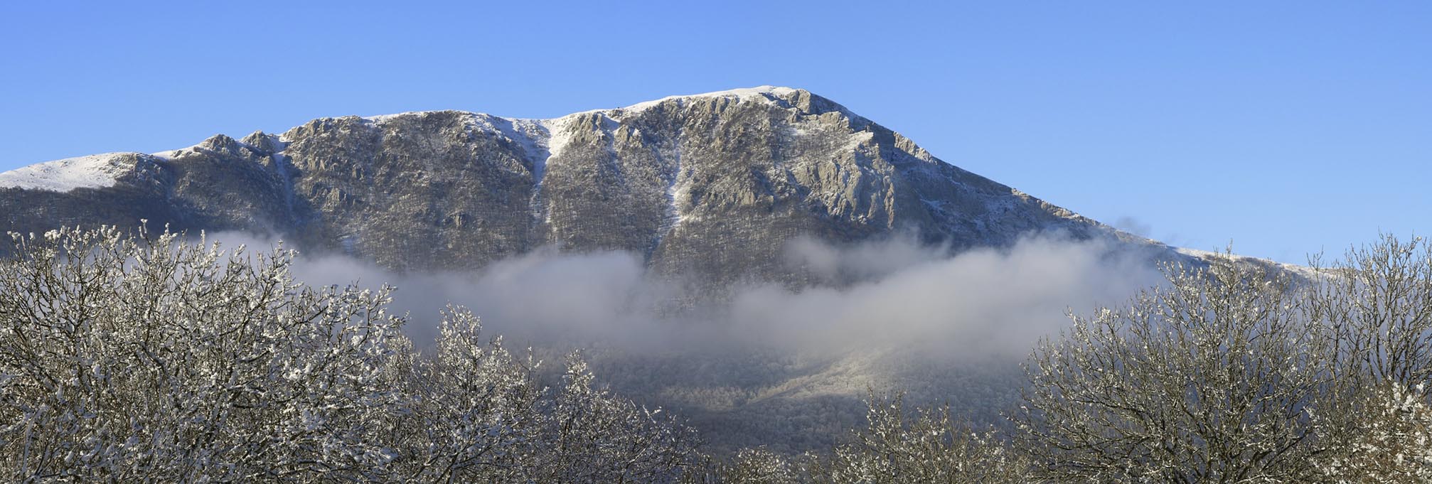 Чуть короче панорама